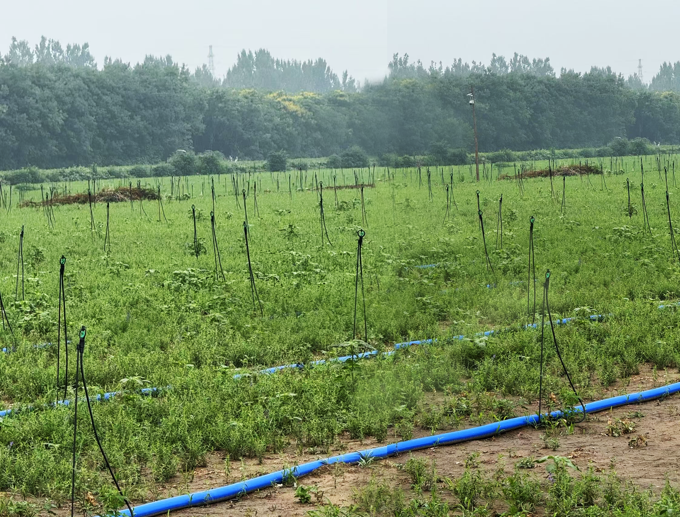 JDB����(�й���)���ٷ���վ