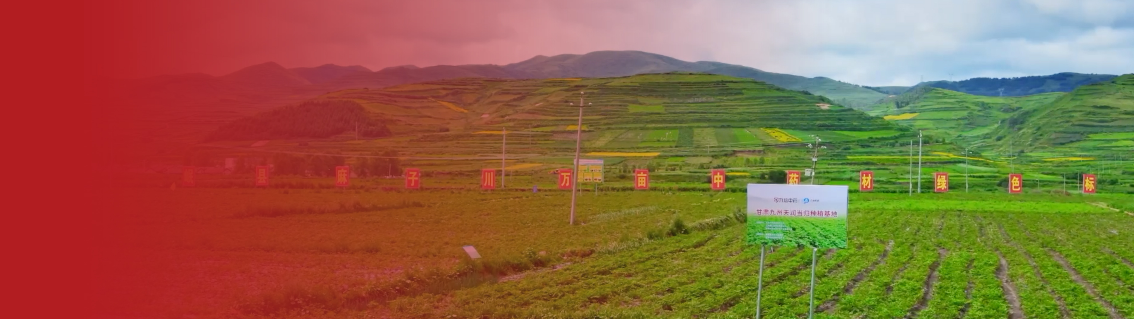 JDB����(�й���)���ٷ���վ